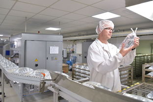 探尋松江食品廠(chǎng)與日用雜品的分布指南