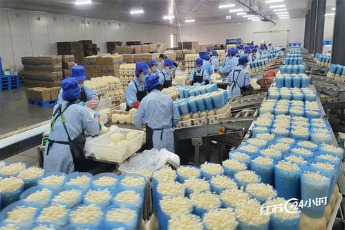 工廠(chǎng)化種植食用菌 規(guī)模化供應(yīng)與日用雜品市場(chǎng)的融合新機(jī)遇