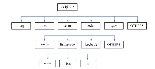 深入解析Linux網絡服務 DNS服務詳解